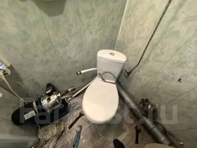 ����������. ����