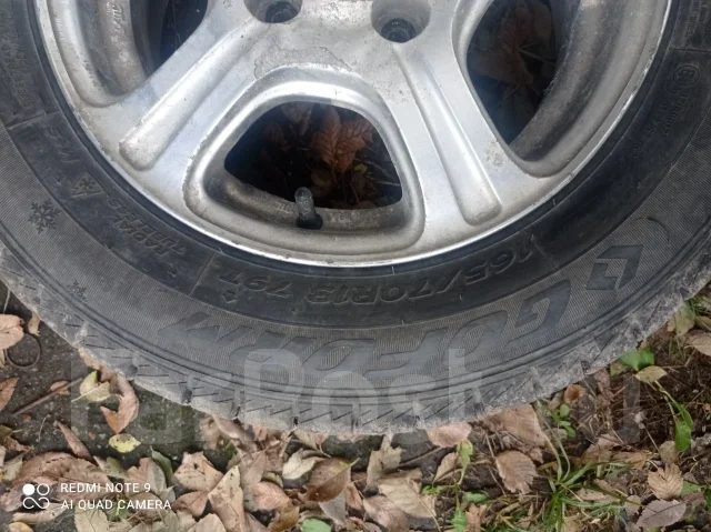 Vitour. ������, ��� �����, �/�, ����� 35 % ����