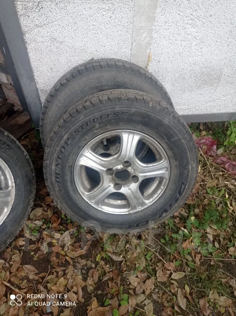 Vitour. ������, ��� �����, �/�, ����� 35 % ����