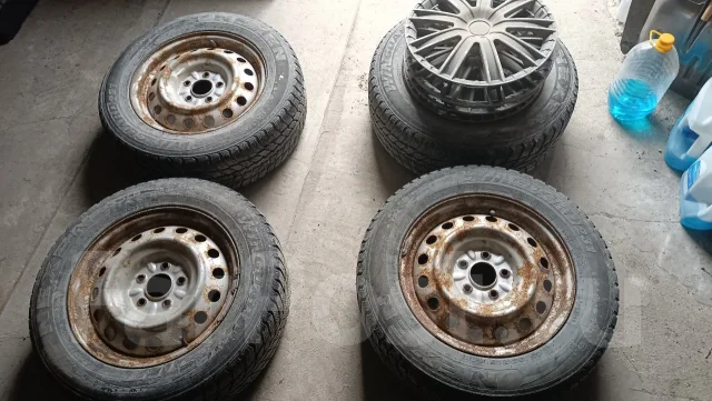 Nexen Winguard 231. ������, ����������, 2009 ���, �/�, ����� 20 % ����