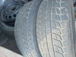 Winter Tact. ������, ��� �����, 2019 ���, �/�, ����� 35 % ����