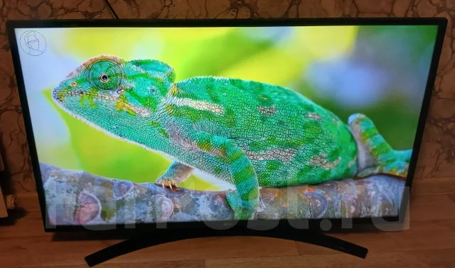 LG ����