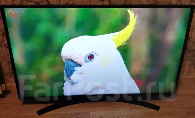 LG ����