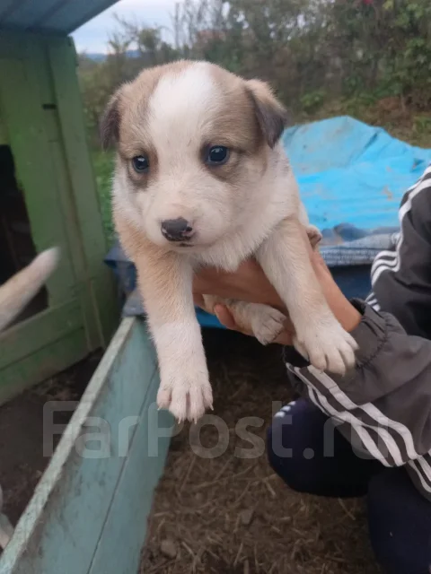 ����� ������ ! ����
