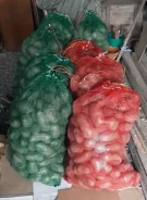 ���������. ����