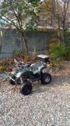 Grizzly 125. ��������, ��� ���\���, �� ����
