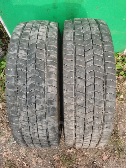 Goldtyre. ������, 2024 ���, �/�, ����� 10 % ����