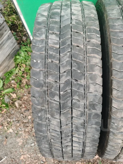 Goldtyre. ������, 2024 ���, �/�, ����� 10 % ����