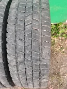 Goldtyre. ������, 2024 ���, �/�, ����� 10 % ����