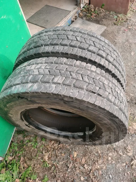 Goldtyre. ������, 2024 ���, �/�, ����� 10 % ����