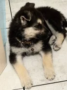 ������. ����