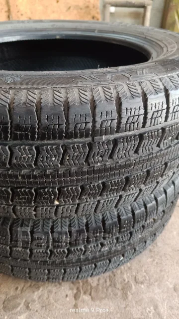 Presa PI02. ������, ��� �����, 2017 ���, �/�, ����� 50 % ����