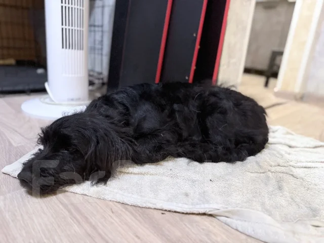 ������. ����