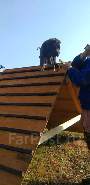 ������. ����