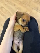 ������. ����