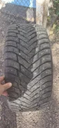 Haida. ������, ����������, 2025 ���, �/�, ����� �� 5 % ����
