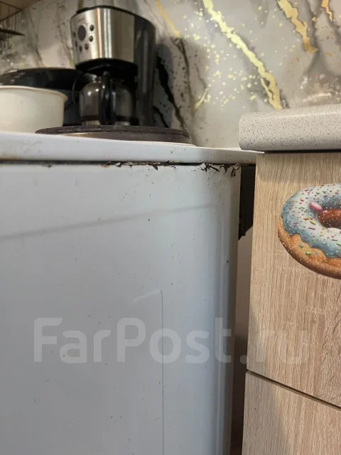 �������� ����� �������������. ����