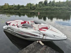 BRP Sea-Doo Challenger. 2010 ���, ����� 6,3��., ��������� ������������, 255��.�., ������ ����