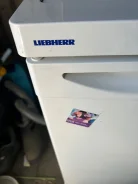 ������������. ����