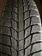 Triangle Snowlink PL01. ������, ��� �����, 2026 ���, ����� ����