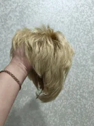 ����� ����� ����