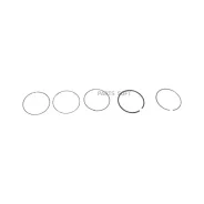 ������ ��������� (�������, 2.4) Great WALL SMD194597 SMD194597 ����