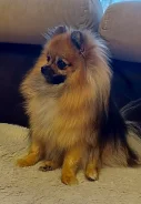 ����. ����