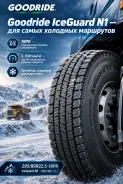 Goodride IceGuard N1. ������, ��� �����, 2026 ���, ����� ����