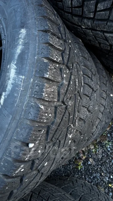 Pirelli P Zero. ������, ����������, 2019 ���, �/�, ����� 20 % ����