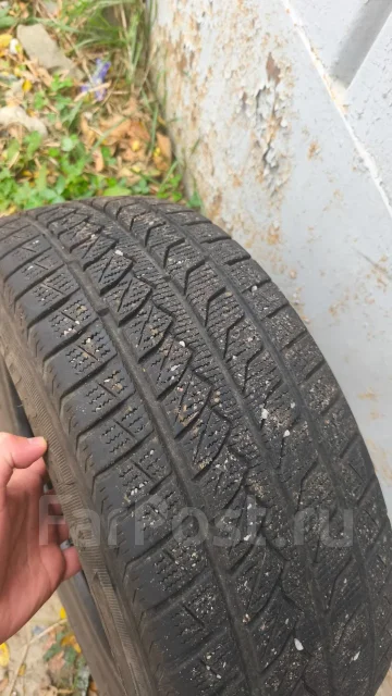 Saferich FRC79. ������, ��� �����, �/�, ����� 15 % ����