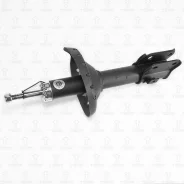 ����������� �������� TORR DV1789L DV1789L ����