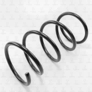������� �������� 2�� TORR DF0161 DF0161 ����