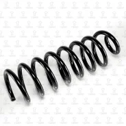 ������� �������� 2�� TORR DF0325 DF0325 ����