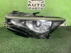 ���� Nissan Skyline 2014 10023017 HV37 VQ35HR, �������� ����� 10023017 ����
