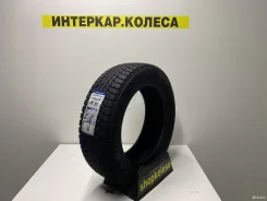Triangle Snowlink PL01
