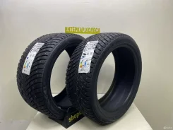 ZMax Winternova Stud II