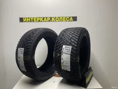 ZMax Winternova Stud II