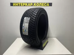 ZMax Winternova Stud II