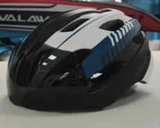 ���������. ����