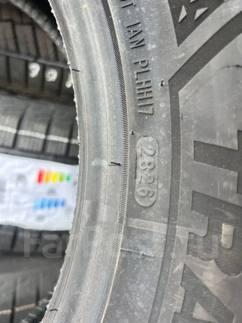Transmate Frost Bite TW01. ������, ��� �����, 2026 ���, ����� ����