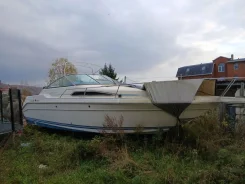 Searay. ����� 9��. ����