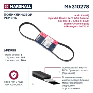 ������ ������������ Marshall [M6310278] M6310278 ����