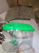 ��������, ��������� ��� �������� ����