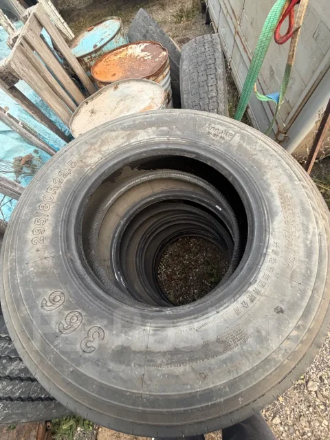 Alceed. ������, 2024 ���, �/�, ����� 45 % ����