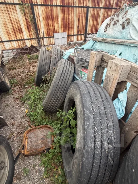 Alceed. ������, 2024 ���, �/�, ����� 45 % ����