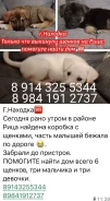 ������. ����