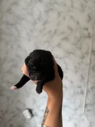 ��������. ����