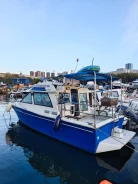 Yamaha PC-26. 1993 ���, ����� 8��., ��������� ������������, 230��.�., ������ ����