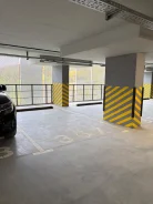 ����� �����������. ����