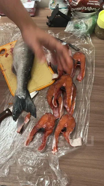 ����. ����